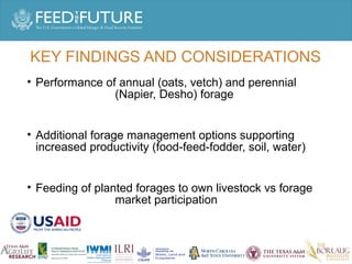 Experiences irrigated forages 