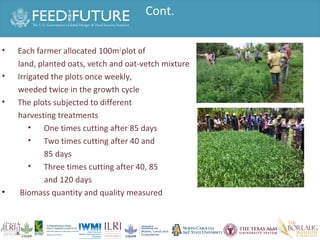 Experiences irrigated forages 