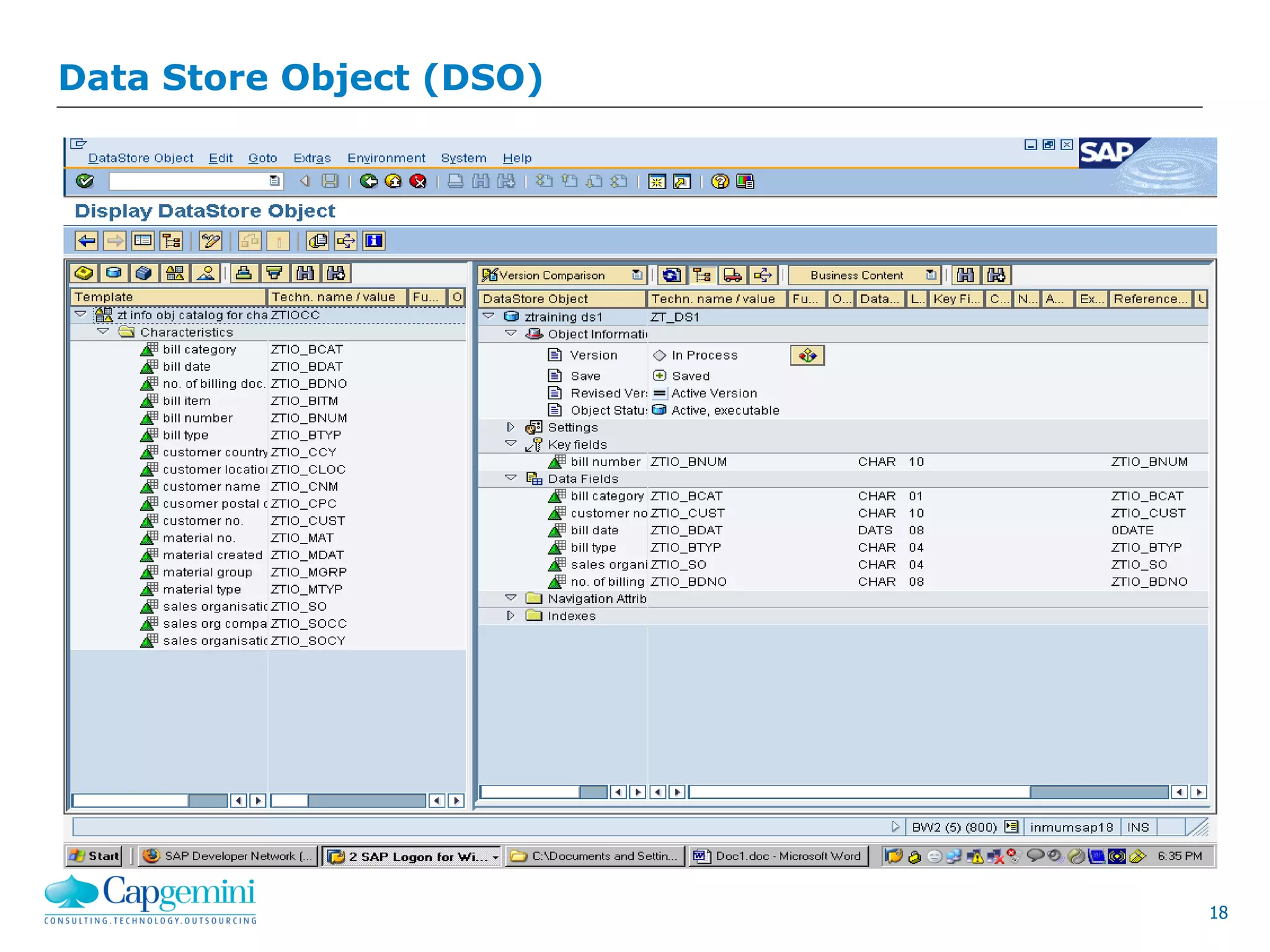 18
Data Store Object (DSO)
 