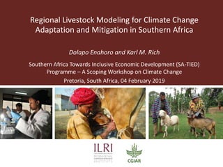 Regional Livestock Modeling for Climate Change
Adaptation and Mitigation in Southern Africa
Dolapo Enahoro and Karl M. Rich
Southern Africa Towards Inclusive Economic Development (SA-TIED)
Programme – A Scoping Workshop on Climate Change
Pretoria, South Africa, 04 February 2019
 