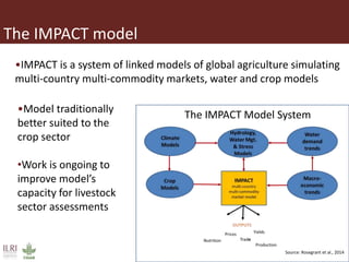 The IMPACT model
Source: Rosegrant et al., 2014
The IMPACT Model System
•Model traditionally
better suited to the
crop sec...
