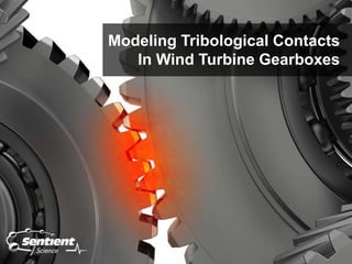 Modeling Tribological Contacts
In Wind Turbine Gearboxes
 