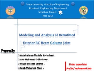 Faculty of Engineering-Tanta University
Structural Engineering Department
Structure Project
Year 2017
 