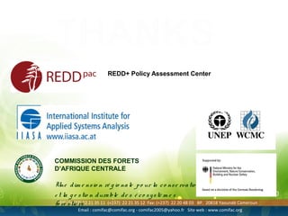 Modeling future deforestation and the impact on biodiversity in the congo basin