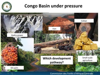 Modeling future deforestation and the impact on biodiversity in the congo basin