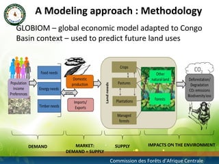 Modeling future deforestation and the impact on biodiversity in the congo basin