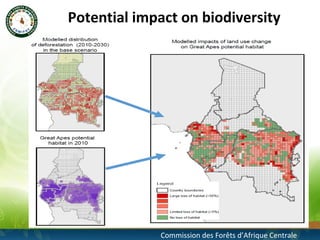 Modeling future deforestation and the impact on biodiversity in the congo basin