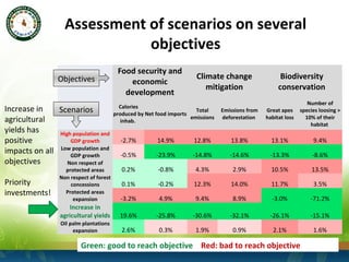 Modeling future deforestation and the impact on biodiversity in the congo basin