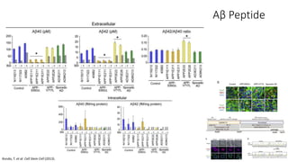 Aβ Peptide
Kondo, T. et al. Cell Stem Cell (2013).
 