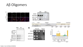 Aβ Oligomers
Kondo, T. et al. Cell Stem Cell (2013).
 