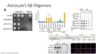 Astrocyte’s Aβ Oligomers
Kondo, T. et al. Cell Stem Cell (2013).
 