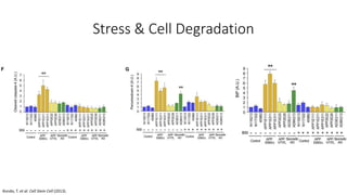Stress & Cell Degradation
Kondo, T. et al. Cell Stem Cell (2013).
 
