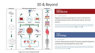 3D & Beyond
Image: Chun Liu et al. Development (2018)
 