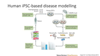 Human iPSC-based disease modelling
Image: Shi Y. et al Nature Review (2017)
 