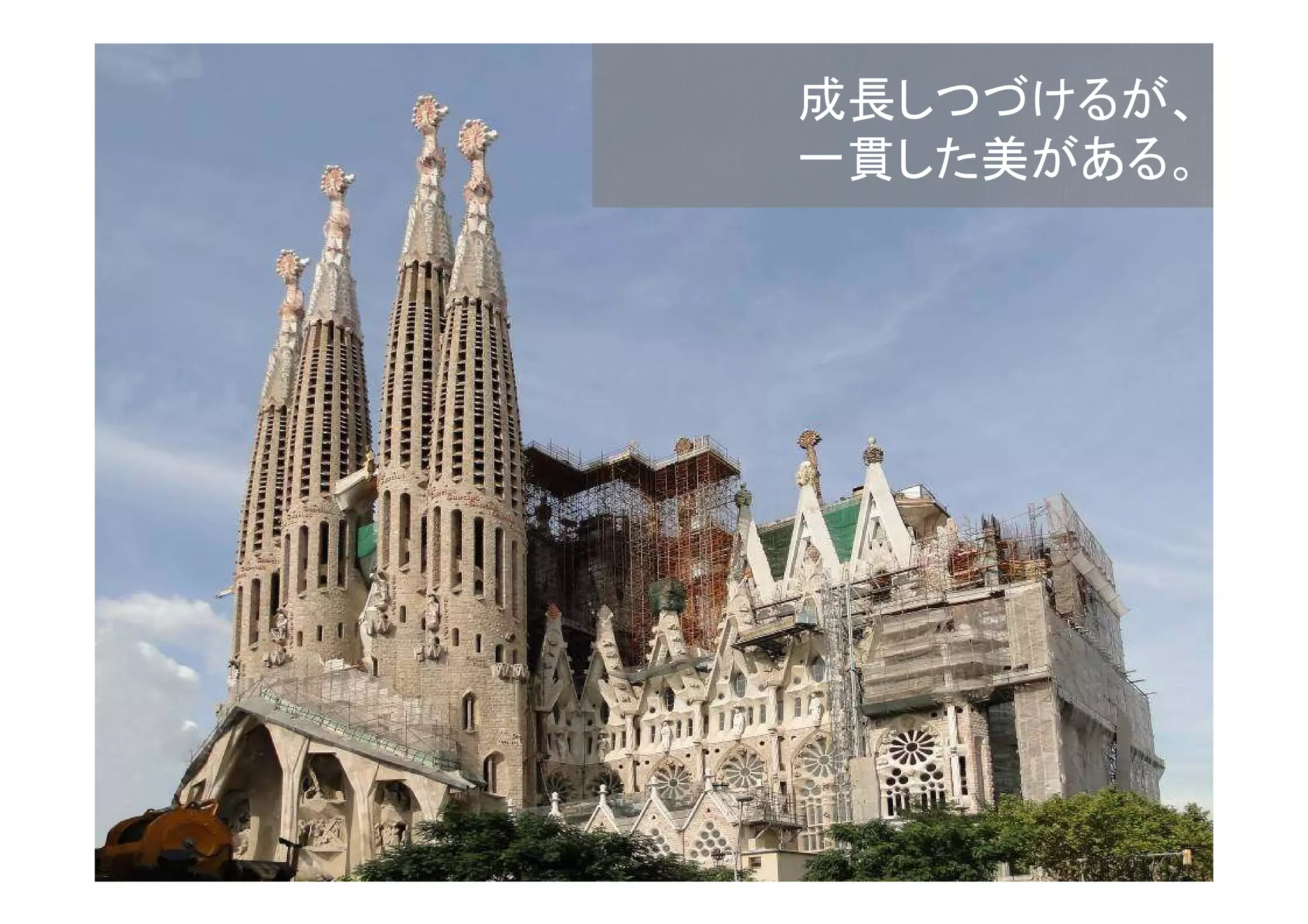 成長しつづけるが、
一貫した美がある。

 