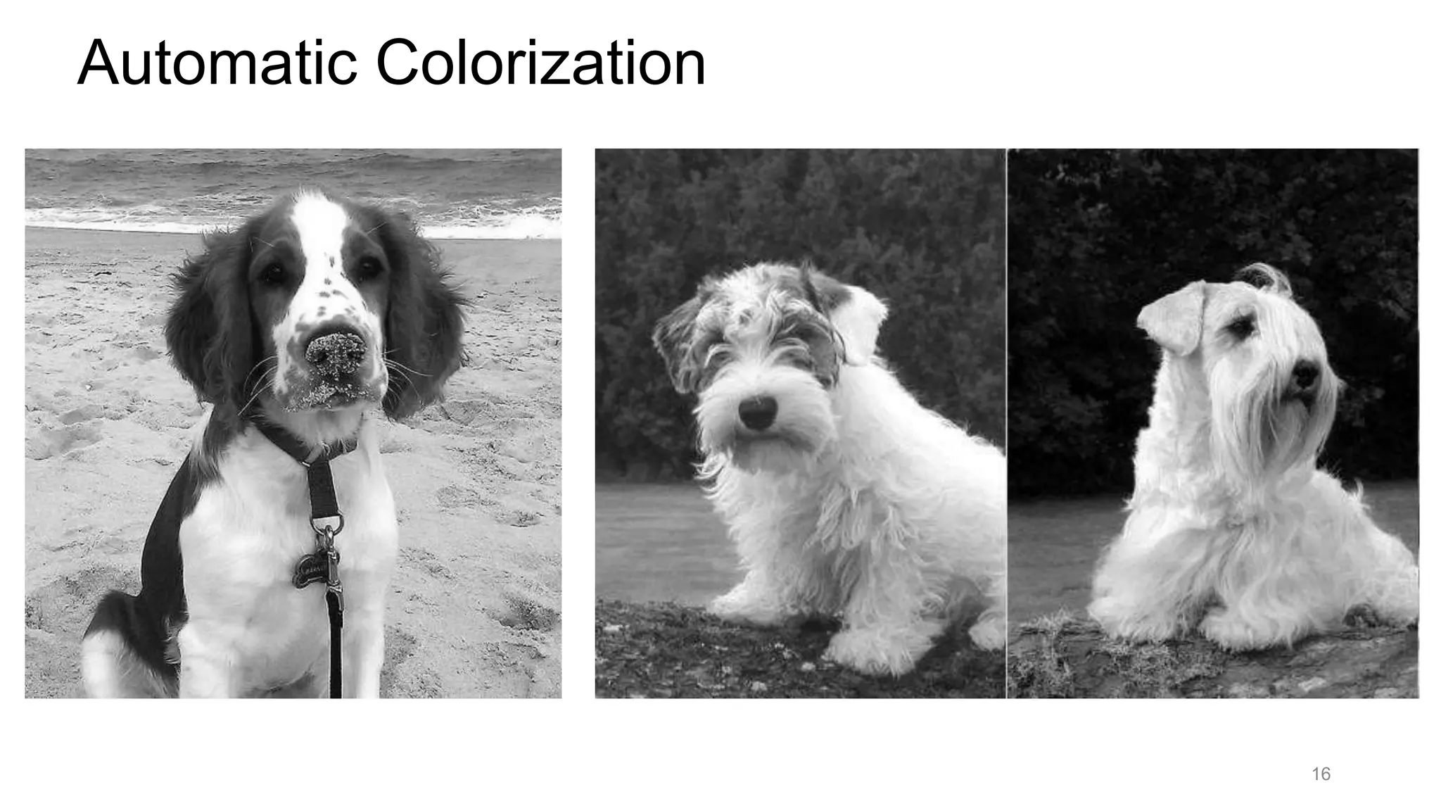 Automatic Colorization
16
 