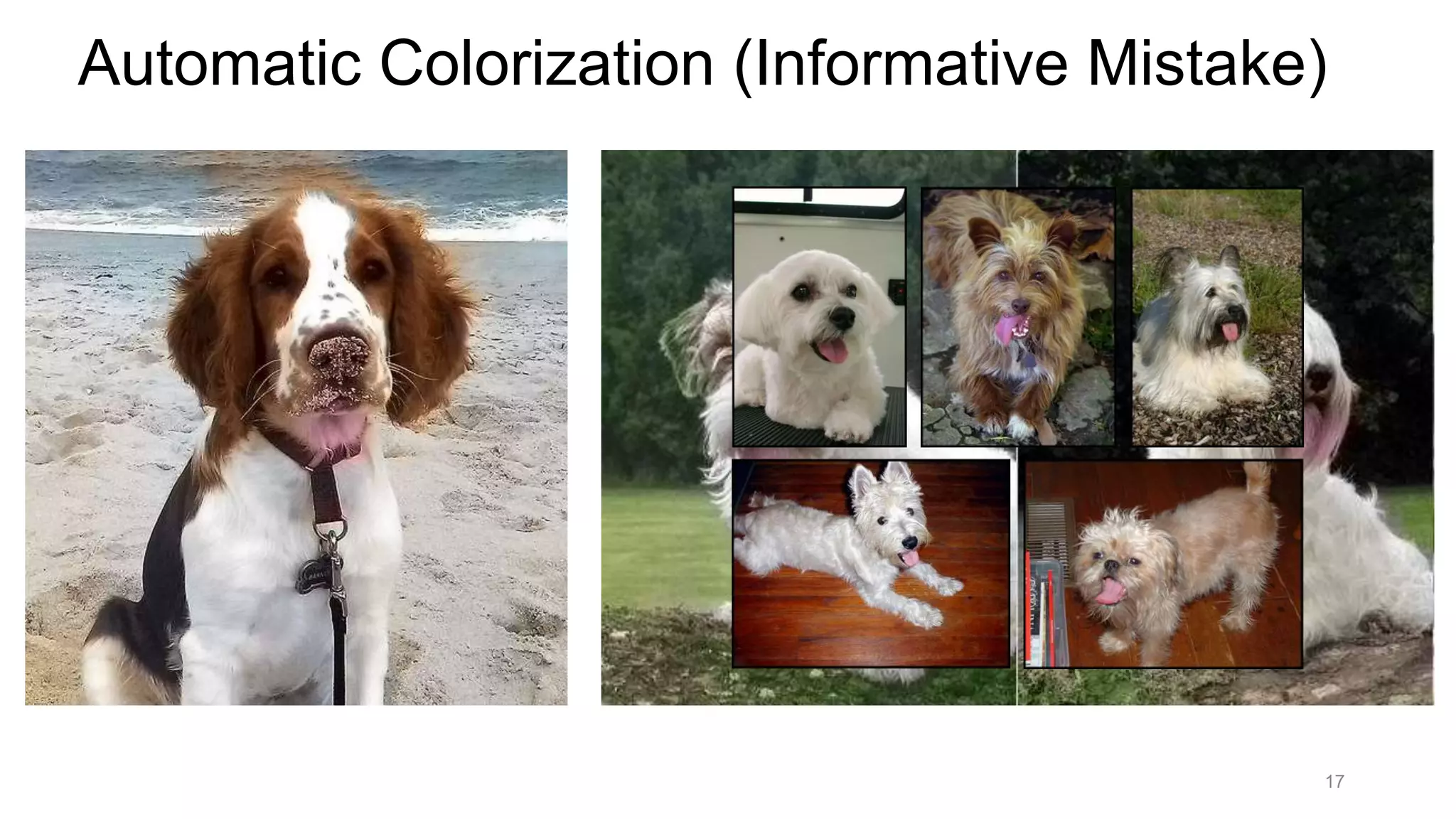 17
Automatic Colorization (Informative Mistake)
 