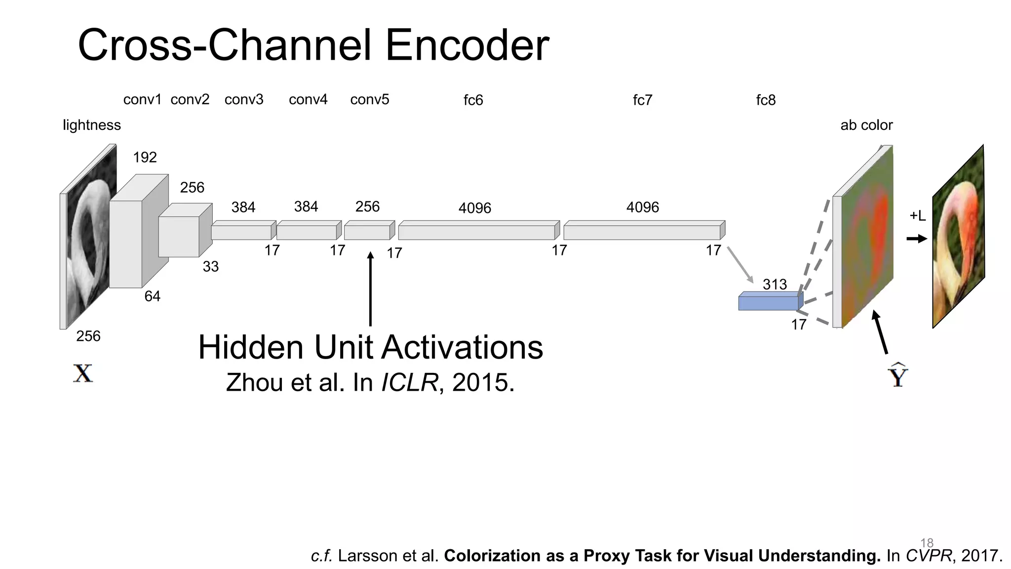 Cross-Channel Encoder
256
lightness
conv1 conv2 conv3 conv4 fc6conv5
64
33
17
192
256
384
17
384
17
256 4096
17
4096
17
fc7
17
fc8
ab color
+L
313
Hidden Unit Activations
Zhou et al. In ICLR, 2015.
18
c.f. Larsson et al. Colorization as a Proxy Task for Visual Understanding. In CVPR, 2017.
 