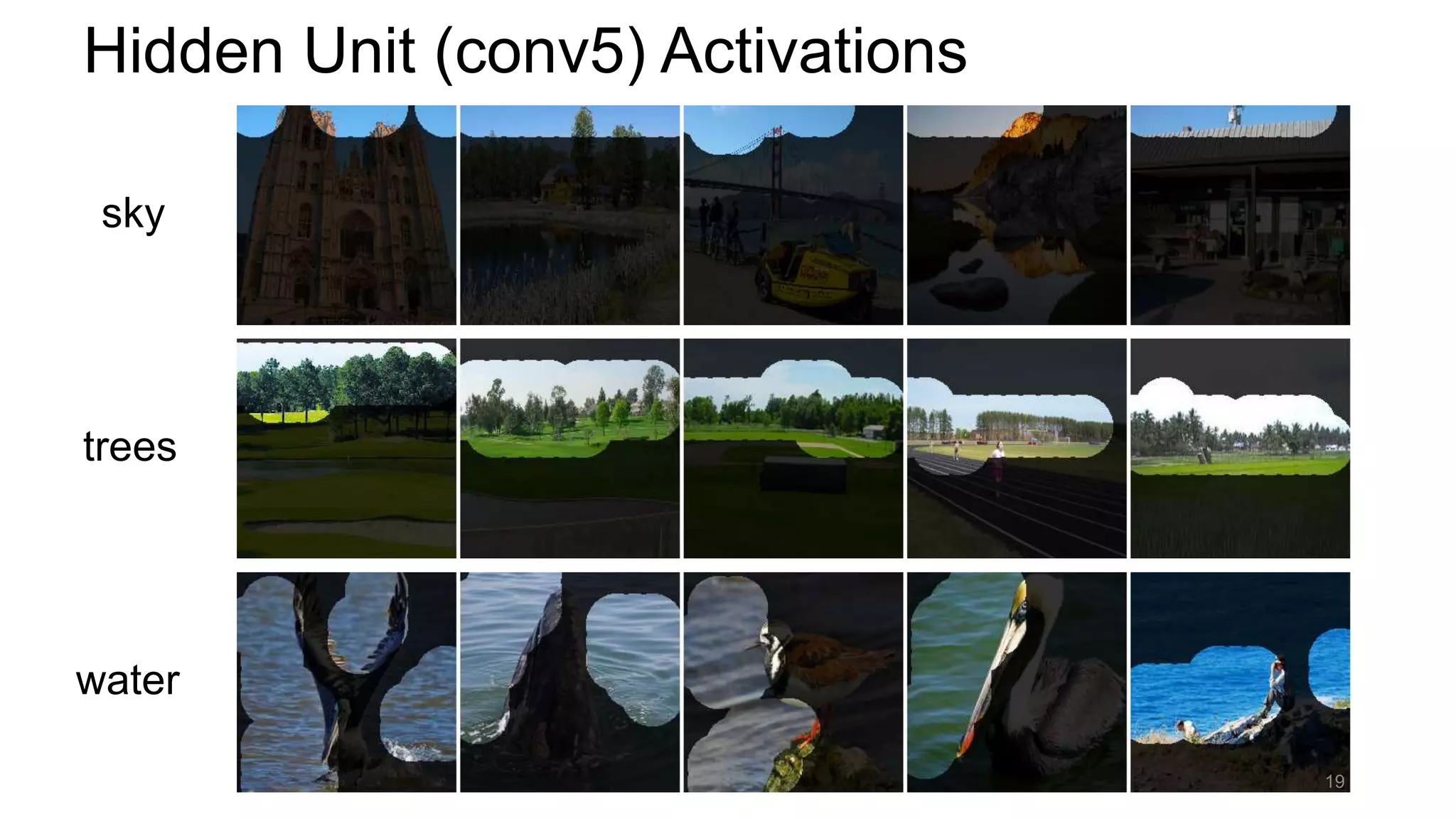 Hidden Unit (conv5) Activations
sky
trees
water
19
 