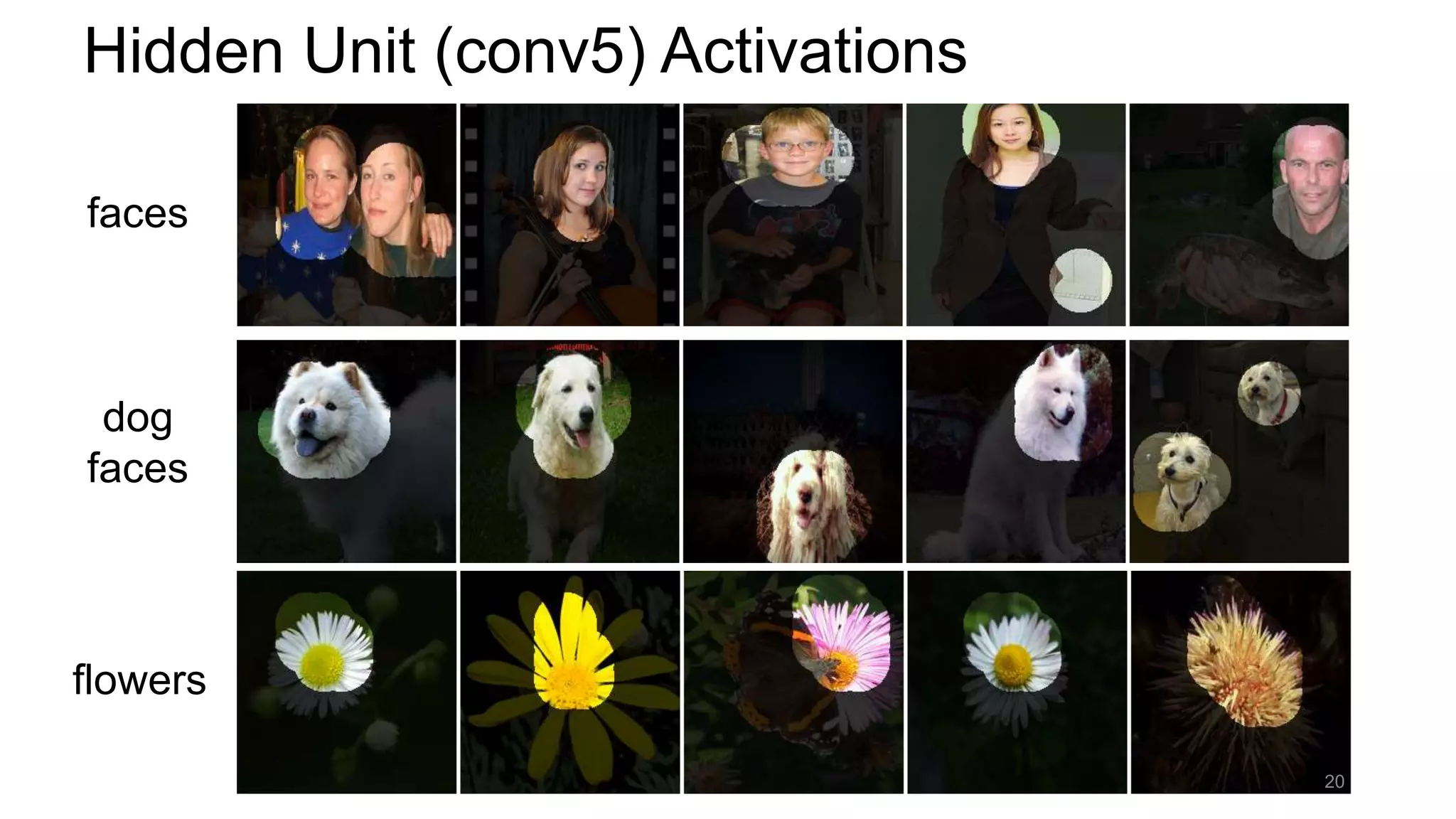 faces
dog
faces
flowers
Hidden Unit (conv5) Activations
20
 