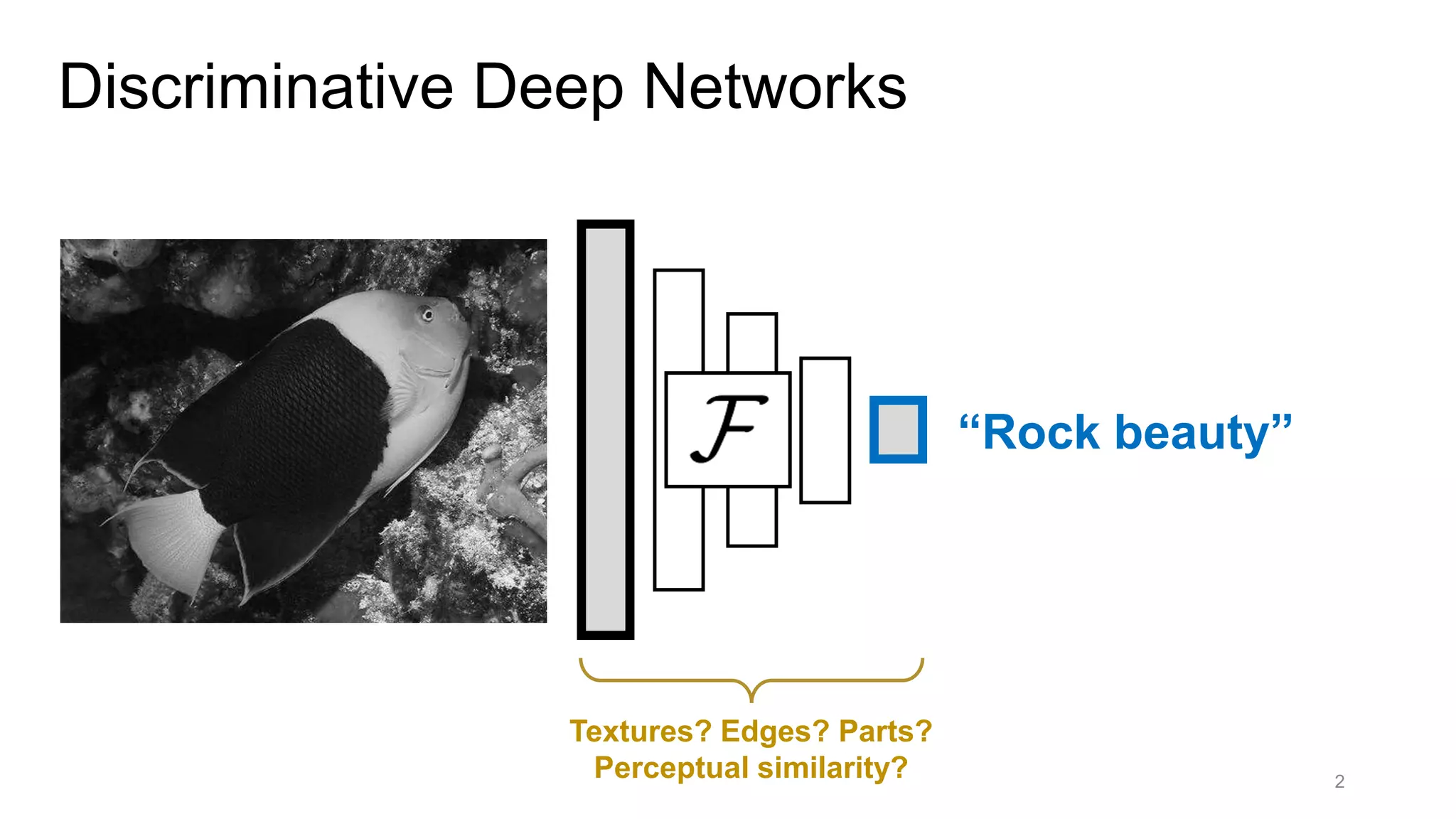 Discriminative Deep Networks
2
“Rock beauty”
Textures? Edges? Parts?
Perceptual similarity?
 