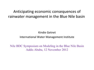 Anticipating economic consequences of
rainwater management in the Blue Nile basin


                     Kindie Getnet
       International Water Management Institute

 Nile BDC Symposium on Modeling in the Blue Nile Basin
           Addis Ababa, 12 November 2012
 