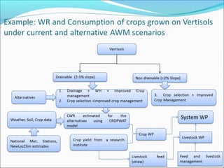 Crop water productivity modeling: Demand and impact at a field level  