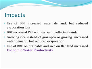 Crop water productivity modeling: Demand and impact at a field level  