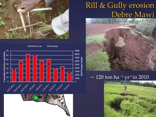 Rill & Gully erosion
        Debre Mawi

                    625m2 in 2011

                321m2 in 2010


         81m2 in 2005



 – 120 ton ha -1 yr-1 in 2010
 