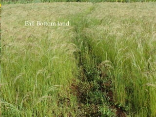 question:
     Fall upland
       Fall Bottom land     Traditional water
                            managemnt
                            practices
                            appropriate?

         {
Do we need to store more water on land
where the farmer carries off excess water?
 