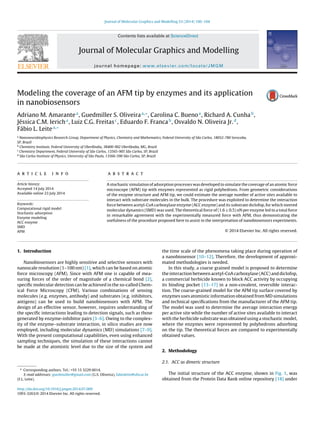 Journal of Molecular Graphics and Modelling 53 (2014) 100–104
Contents lists available at ScienceDirect
Journal of Molecular Graphics and Modelling
journal homepage: www.elsevier.com/locate/JMGM
Modeling the coverage of an AFM tip by enzymes and its application
in nanobiosensors
Adriano M. Amarantea
, Guedmiller S. Oliveiraa,∗
, Carolina C. Buenoa
, Richard A. Cunhab
,
Jéssica C.M. Iericha
, Luiz C.G. Freitasc
, Eduardo F. Francab
, Osvaldo N. Oliveira Jr.d
,
Fábio L. Leitea,∗
a
Nanoneurobiophysics Research Group, Department of Physics, Chemistry and Mathematics, Federal University of São Carlos, 18052-780 Sorocaba,
SP, Brazil
b
Chemistry Institute, Federal University of Uberlândia, 38400-902 Uberlândia, MG, Brazil
c
Chemistry Department, Federal University of São Carlos, 13565-905 São Carlos, SP, Brazil
d
São Carlos Institute of Physics, University of São Paulo, 13566-590 São Carlos, SP, Brazil
a r t i c l e i n f o
Article history:
Accepted 14 July 2014
Available online 23 July 2014
Keywords:
Computational rigid model
Stochastic adsorption
Enzyme modeling
ACC enzyme
SMD
AFM
a b s t r a c t
A stochastic simulation of adsorption processes was developed to simulate the coverage of an atomic force
microscope (AFM) tip with enzymes represented as rigid polyhedrons. From geometric considerations
of the enzyme structure and AFM tip, we could estimate the average number of active sites available to
interact with substrate molecules in the bulk. The procedure was exploited to determine the interaction
force between acetyl-CoA carboxylase enzyme (ACC enzyme) and its substrate diclofop, for which steered
molecular dynamics (SMD) was used. The theoretical force of (1.6 ± 0.5) nN per enzyme led to a total force
in remarkable agreement with the experimentally measured force with AFM, thus demonstrating the
usefulness of the procedure proposed here to assist in the interpretation of nanobiosensors experiments.
© 2014 Elsevier Inc. All rights reserved.
1. Introduction
Nanobiosensors are highly sensitive and selective sensors with
nanoscale resolution (1–100 nm) [1], which can be based on atomic
force microscopy (AFM). Since with AFM one is capable of mea-
suring forces of the order of magnitude of a chemical bond [2],
speciﬁc molecular detection can be achieved in the so-called Chem-
ical Force Microscopy (CFM). Various combinations of sensing
molecules (e.g. enzymes, antibody) and substrates (e.g. inhibitors,
antigens) can be used to build nanobiosensors with AFM. The
design of an effective sensor, however, requires understanding of
the speciﬁc interactions leading to detection signals, such as those
generated by enzyme-inhibitor pairs [3–6]. Owing to the complex-
ity of the enzyme–substrate interaction, in silico studies are now
employed, including molecular dynamics (MD) simulations [7–9].
With the present computational capabilities, even using enhanced
sampling techniques, the simulation of these interactions cannot
be made at the atomistic level due to the size of the system and
∗ Corresponding authors. Tel.: +55 15 3229 6014.
E-mail addresses: guedmuller@gmail.com (G.S. Oliveira), fabioleite@ufscar.br
(F.L. Leite).
the time scale of the phenomena taking place during operation of
a nanobiosensor [10–12]. Therefore, the development of approxi-
mated methodologies is needed.
In this study, a coarse grained model is proposed to determine
the interaction between acetyl-CoA carboxylase (ACC) and diclofop,
a commercial herbicide known to block ACC activity by occupying
its binding pocket [13–17] in a non-covalent, reversible interac-
tion. The coarse-grained model for the AFM tip surface covered by
enzymes uses atomistic information obtained from MD simulations
and technical speciﬁcations from the manufacturer of the AFM tip.
The model was used to determine the average interaction energy
per active site while the number of active sites available to interact
with the herbicide substrate was obtained using a stochastic model,
where the enzymes were represented by polyhedrons adsorbing
on the tip. The theoretical forces are compared to experimentally
obtained values.
2. Methodology
2.1. ACC as dimeric structure
The initial structure of the ACC enzyme, shown in Fig. 1, was
obtained from the Protein Data Bank online repository [18] under
http://dx.doi.org/10.1016/j.jmgm.2014.07.009
1093-3263/© 2014 Elsevier Inc. All rights reserved.
 