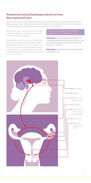 Физиология женской репродуктивной системы.
Менструальный цикл
Менструальный цикл устанавливается после менархе
(первой менструации) и сохраняется в течение дето-
родного периода жизни женщины.
Одновременно в циклическом режиме в эндометрии
последовательно происходят регенерация и проли-
ферация функционального слоя эндометрия, сменя-
ющаяся секреторной фазой (образованием большого
количества желез в эндометрии). Изменения в эндо-
метрии заканчиваются отторжением функционального
слоя — менструацией.
Одним из физиологических проявлений работы женской репродуктивной системы является
менструальный цикл. Внешним проявлением циклических изменений в организме женщины
являются кровянистые выделения из половых путей — менструация.
Гипоталамус
Гипофиз
Гормоны гипо-
физа: ЛГ и ФСГ
Фолликулы
Гормоны яични-
ков: эстрогены
и прогестерон
Эндометрий
Слизистая
цервикального
канала
Циклические изменения в организме
женщины носят двухфазный характер:
Первая фаза — фолликулярная. Она определяется
созреванием фолликула и яйцеклетки в яичнике, после
чего происходит разрыв фолликула и выход из него
яйцеклетки — овуляция
Вторая фаза — лютеиновая. Она связана с образова-
нием желтого тела
9
 
