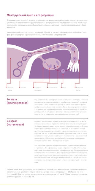 В течение всего репродуктивного периода жизни женщины гормональные процессы происходят
циклически. В течение менструального цикла в определенной последовательности происходят
изменения в половых органах, биологический смысл которых — подготовка организма к бере-
менности.
Менструальный цикл составляет в среднем 28 дней и, как мы говорили ранее, состоит из двух
фаз: фолликулярной (пролиферативной) и лютеиновой (секреторной).
Менструальный цикл и его регуляция
1-я фаза
(фолликулярная)
Под действием ФСГ (гипофиз) в яичниках вступают в рост сразу несколько
фолликулов, которые по мере роста вырабатывают гормоны (в основном
эстрадиол — самый активный эстроген). но только один главный фолли-
кул (доминантный) достигает зрелости. Когда фолликул достигает около
2 см в диаметре, гипофиз выбрасывает большое количество ЛГ. Происхо-
дит овуляция, то есть разрыв фолликула и выход яйцеклетки в брюшную
полость, где ее захватывает ампулярный отдел маточных труб.
2-я фаза
(лютеиновая)
Овуляция обуславливает переход во вторую фазу цикла, когда на месте
лопнувшего фолликула образуется желтое тело, которое функционирует
10–14 дней и вырабатывает прогестерон — гормон беременности. В конце
второй фазы, если беременность не наступила, то желтое тело прекра-
щает функционировать, уровень всех гормонов падает и начинается мен-
струация, а вслед за ней следующий менструальный цикл. Если же насту-
пила беременность, то основной гормон беременности — хорионический
гонадотропин (ХГ), который вырабатывается хорионом, поддерживает
функцию желтого тела, и менструации не будет.
Под действием гормонов яичника происходят определенные изменения
в эндометрии. В 1-ю фазу, когда созревает доминантный фолликул, под
действием эстрадиола происходит пролиферация (рост) функционального
слоя слизистой полости матки. Во 2-ю фазу под действием прогестерона
происходит секреторная трансформация эндометрия — подготовка к воз-
можной имплантации. При отсутствии беременности в результате сниже-
ния уровня прогестерона происходит отторжение эндометрия — менстру-
ация.
Первым днем менструального цикла считается первый день менструации. Продолжительность
менструального цикла от 1-го дня менструации до начала следующей — 28±7 дней (то есть
21–35 дней). Менструальное кровотечение в норме длится 3–7 дней. Объем кровопотери за все
дни менструации — около 80 мл.
Полость
матки
Яичник Яйцевой
фолликул
Желтое тело Яйцо Маточная
труба
11
 