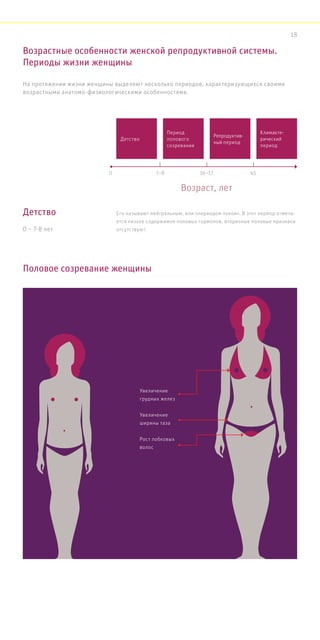 Возрастные особенности женской репродуктивной системы.
Периоды жизни женщины
Половое созревание женщины
На протяжении жизни женщины выделяют несколько периодов, характеризующихся своими
возрастными анатомо-физиологическими особенностями.
Детство
0 – 7-8 лет
Его называют нейтральным, или «периодом покоя». В этот период отмеча-
ется низкое содержимое половых гормонов, вторичные половые признаки
отсутствуют.
Детство
0 7–8 16–17
Возраст, лет
45
Период
полового
созревания
Репродуктив-
ный период
Климакте-
рический
период
Увеличение
грудных желез
Увеличение
ширины таза
Рост лобковых
волос
18
 