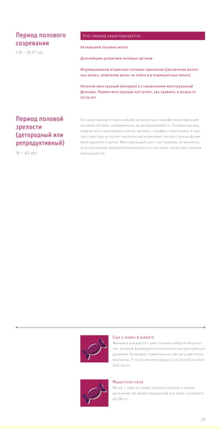Период полового
созревания
7-8 – 16-17 лет
Период половой
зрелости
(детородный или
репродуктивный)
16 – 45 лет
Он характеризуется высочайшей активностью специфических функций
половой системы, направленных на деторождаемость. Половые органы,
прежде всего влагалище и матка, яичники, гипофиз, гипоталамус и про-
чие структуры испытают циклические изменения соответственно фазам
менструального цикла. Менструальный цикл, как правило, не меняется,
за исключением периодов беременности и лактации, когда менструации
прекращаются.
Еще у мамы в животе
Женщина рождается с уже готовым набором яйцекле-
ток, который формируется в процессе внутриутробного
развития. На момент появления на свет их у нее около
миллиона. К 13–14-летнему возрасту их остается около
400 тысяч.
Мышечная сила
Матка — один из самых сильных органов в нашем
организме: во время сокращений она может развивать
до 180 кг.
Этот период характеризуется:
Активацией половых желез
Дальнейшим развитием половых органов
Формированием вторичных половых признаков (увеличение молоч-
ных желез, появление волос на лобке и в подмышечных ямках)
Началом менструаций (менархе) и становлением менструальной
функции. Первая менструация наступает, как правило, в возрасте
12-14 лет
19
 