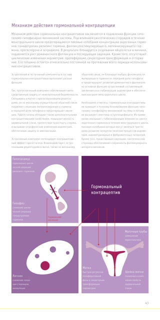 Эстрогенный и гестагенный компоненты в составе
гормональных контрацептивов выполняют разные
функции.
Так, прогестагенный компонент обеспечивает непо-
средственную защиту от нежелательной беременности.
Связываясь в матке с прогестероновыми рецепто-
рами, он по механизму отрицательной обратной связи
подавляет секрецию лютеинизирующего гормона
в передней доле гипофиза и предотвращает овуля-
цию. Прогестагены обладают также дополнительными
контрацептивными свойствами: повышают вязкость
цервикальной слизи, препятствуя транспорту спермы,
и вызывают атрофические изменения эндометрия,
обеспечивая защиту от имплантации.
Эстрогенный компонент потенцирует контрацептив-
ный эффект прогестагена. Взаимодействуя с эстро-
геновыми рецепторами в матке, также по механизму
обратной связи, он блокирует выброс фолликулости-
мулирующего гормона из передней доли гипофиза
и предотвращает развитие доминантного фолликула.
но основная функция эстрогеновой составляющей
заключается в стабилизации эндометрия и обеспече-
нии контроля менструального цикла.
Необходимо отметить: гормональные контрацептивы
не приводят к полному блокированию функции гипо-
таламо-гипофизарно-яичниковой системы и потому
не вызывают симптомы эстрогендефицита. Их приме-
нение оказывает стабилизирующее влияние на синтез
эндогенных гормонов в течение менструального цикла,
пиковые колебания которых могут являться тригге-
рами развития гиперпластических процессов эндоме-
трия, эндометриоидных и фиброматозных гетеропий.
Кроме того, предотвращая овуляцию, синтетические
стероиды обеспечивают сохранность фолликулярного
аппарата яичников.
Механизм действия гормональных контрацептивов заключается в подавлении функции гипо-
таламо-гипофизарно-яичниковой системы. Под влиянием синтетических стероидов в течение
менструального цикла предотвращаются пиковые колебания концентрации эндогенных гормо-
нов: гонадотропин-рилизинг гормона, фолликулостимулирующего, лютеинизирующего гор-
мона, прогестерона и эстрадиола. В результате блокируется созревание яйцеклетки в яичнике,
подавляется рост доминантного фолликула и последующая овуляция. Кроме того, отсутствуют
циклические изменения эндометрия: пролиферация, секреторная трансформация и отторже-
ние. Его толщина остается относительно постоянной на протяжении всего периода использова-
ния контрацептивов.
Механизм действия гормональной контрацепции
Гормональный
контрацептив
Гипоталамус
торможение цикли-
ческой секреции
рилизинг- гормонов
Гипофиз
снижение цикли-
ческой секреции
гонадотропных
гормонов
Торможение
овуляции
Яичник
снижение секре-
ции стероидов,
ановуляция
Маточные трубы
замедление
перистальтики
Шейка матки
снижение и изме-
нение свойств
цервикальной
слизи
Матка
быстрая регрессия
полиферативной
фазы и секреторная
трансформация
эндометрия
43
 