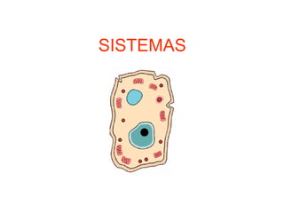 SISTEMAS
 