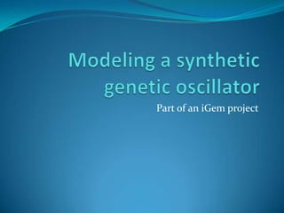 Modeling a synthetic genetic oscillator,[object Object],Part of an iGem project,[object Object]