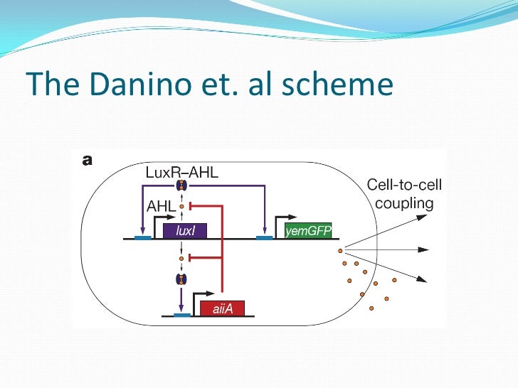Modelling a synthetic oscillator