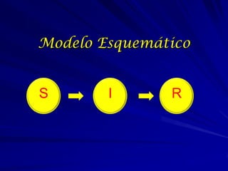 Modelo Esquemático


S       I      R
 