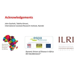 A mathematical model for Rift Valley fever transmission dynamics