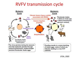 A mathematical model for Rift Valley fever transmission dynamics