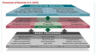 Framework of Dominati et al. (2010)
 