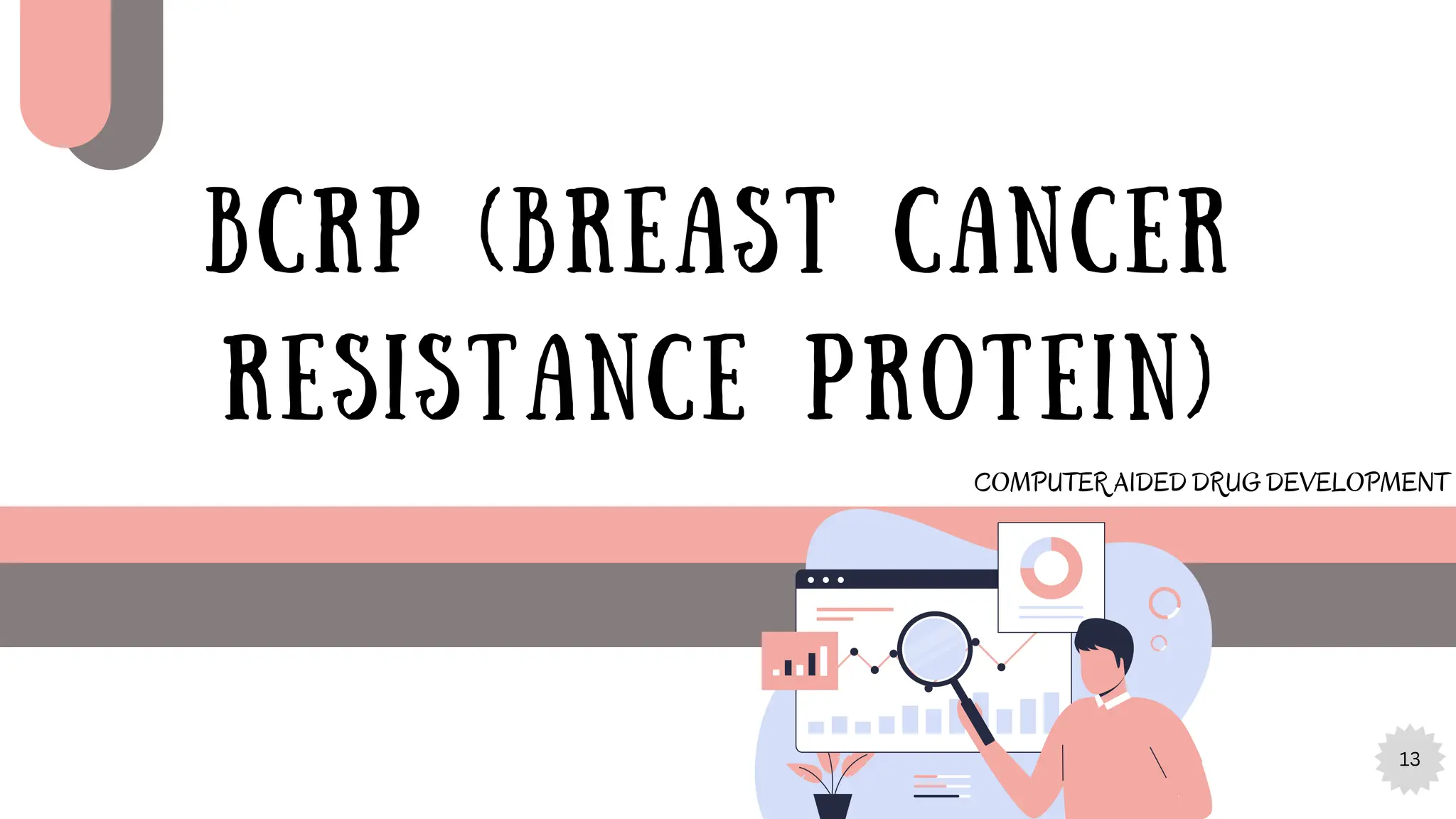 13
BCRP (BREAST CANCER
RESISTANCE PROTEIN)
COMPUTER AIDED DRUG DEVELOPMENT
 