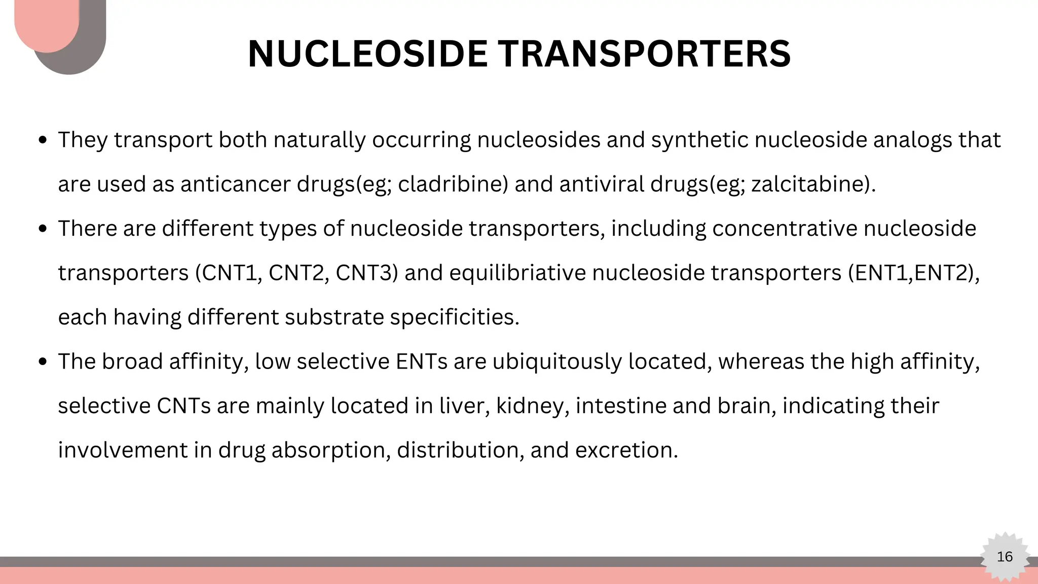 16
NUCLEOSIDE TRANSPORTERS
They transport both naturally occurring nucleosides and synthetic nucleoside analogs that
are used as anticancer drugs(eg; cladribine) and antiviral drugs(eg; zalcitabine).
There are different types of nucleoside transporters, including concentrative nucleoside
transporters (CNT1, CNT2, CNT3) and equilibriative nucleoside transporters (ENT1,ENT2),
each having different substrate specificities.
The broad affinity, low selective ENTs are ubiquitously located, whereas the high affinity,
selective CNTs are mainly located in liver, kidney, intestine and brain, indicating their
involvement in drug absorption, distribution, and excretion.
 