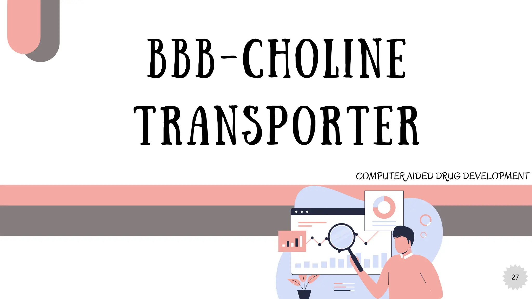 27
BBB-CHOLINE
TRANSPORTER
COMPUTER AIDED DRUG DEVELOPMENT
 