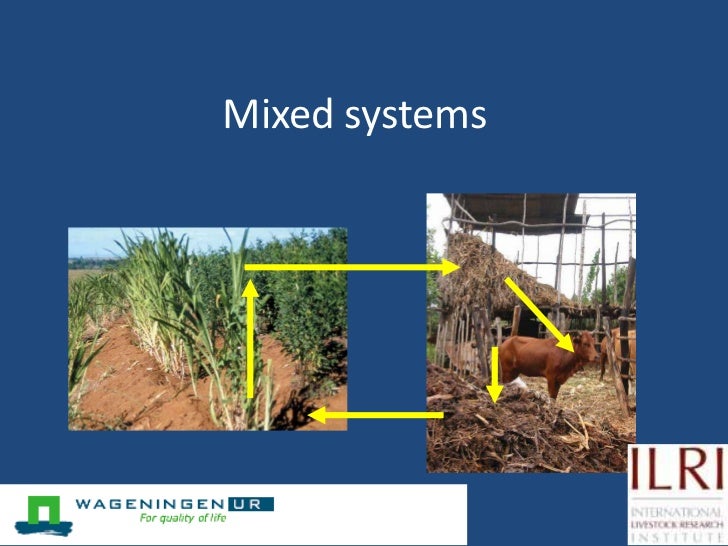 A model to evaluate the sustainability of mixed croplivestock systems