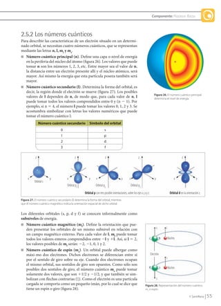 55© Santillana
Componente: Procesos físicos
2.5.2 Los números cuánticos
Para describir las características de un electrón situado en un determi-
nado orbital, se necesitan cuatro números cuánticos, que se representan
mediante las letras n, l, ml
y ms
.
■ Número cuántico principal (n). Define una capa o nivel de energía
en la periferia del núcleo del átomo (figura 26). Los valores que puede
tomar n son los números 1, 2, 3, etc. Entre mayor sea el valor de n,
la distancia entre un electrón presente allí y el núcleo atómico, será
mayor. Así mismo la energía que esta partícula poseea también será
mayor.
■ Número cuántico secundario (l). Determina la forma del orbital, es
decir, la región donde el electrón se mueve (figura 27). Los posibles
valores de l dependen de n, de modo que, para cada valor de n, l
puede tomar todos los valores comprendidos entre 0 y (n Ϫ 1). Por
ejemplo, si n ϭ 4, el número l puede tomar los valores 0, 1, 2 y 3. Se
acostumbra simbolizar con letras los valores numéricos que puede
tomar el número cuántico l:
Los diferentes orbitales (s, p, d y f) se conocen informalmente como
subniveles de energía.
■ Número cuántico magnético (ml
). Define la orientación que pue-
den presentar los orbitales de un mismo subnivel en relación con
un campo magnético externo. Para cada valor de l, ml
puede tomar
todos los valores enteros comprendidos entre Ϫl y ϩl. Así, si l ϭ 2,
los valores posibles de ml
serán: Ϫ2, Ϫ1, 0, 1 y 2.
■ Número cuántico de espín (ms
). Un orbital puede albergar como
máxi-mo dos electrones. Dichos electrones se diferencian entre sí
por el sentido de giro sobre su eje. Cuando dos electrones ocupan
el mismo orbital, sus sentidos de giro son opuestos. Como sólo son
posibles dos sentidos de giro, el número cuántico ms
puede tomar
solamente dos valores, que son ϩ1/2 y Ϫ1/2, y que también se sim-
bolizan con flechas contrarias ( ). Como el electrón es una partícula
cargada se comporta como un pequeño imán, por lo cual se dice que
tiene un espín o giro (figura 28).
0 s
1 p
2 d
3 f
Figura 26. El número cuántico principal
determina el nivel de energía.
Figura 27. El número cuántico secundario (l) determina la forma del orbital, mientras
que el número cuántico magnético indica la orientación espacial de dicho orbital.
Figura 28. Representación del número cuántico
ms
o espín.
z z z z z
x x x x xy y y y y
Orbital s
Orbital pz
Orbital py
Orbital px
Orbital p con tres posible orientaciones, sobre los ejes x, y y z. Orbital d en la orientación z.
ls
s
Núcleo
Núcleo
Electrón
Número cuántico secundario Símbolo del orbital
l
QUIM10-U2(38-71).indd 55 1/12/09 13:55
 