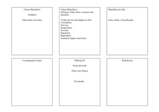 Classe Mamíferos
(Ordens)
Falar sobre com fotos
Mamíferos do Zôo
Fotos, ficha e Classificação
Considerações Finais
Classe Mamíferos
Sistemas- Falar sobre e colocar com
desenhos
*Cada um em uma página ou dois
Circulatório
Nervoso
Respiratório
Excretor
Digestório
Reprodutor
Sentidos( órgãos sensoriais)
Making off
Nossa diversão
(fotos com frases)
Na estrada...
Referências
 