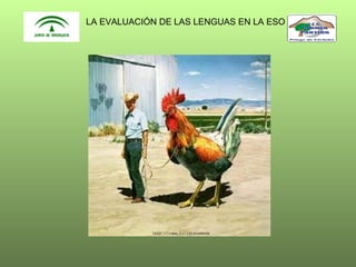 LA EVALUACIÓN DE LAS LENGUAS EN LA ESO

 